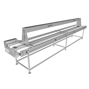 Light Selection Conveyor